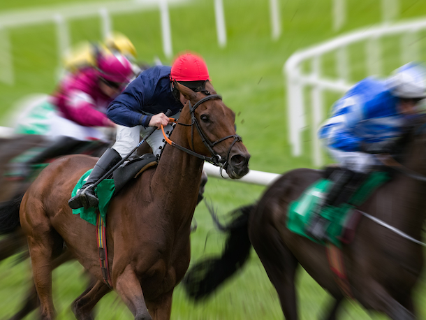 Supporting the equine racing industry