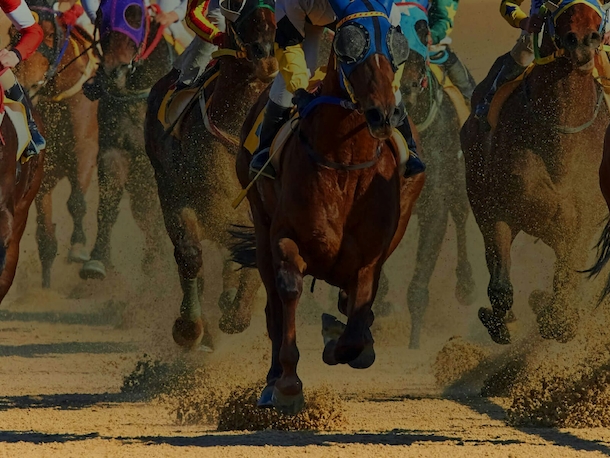 Newmarket - the home of horseracing